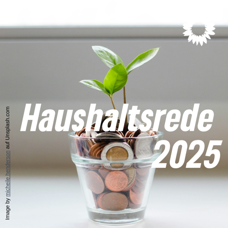 Haushaltsrede 2025